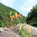 장령산자연휴양림 이미지