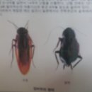 신세기방역 네이버블로그