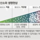 동아산소 이미지