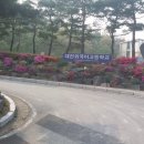 대전외국어고등학교 이미지