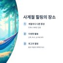 내린천솔밭힐링캠핑장 이미지