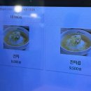 망향비빔국수 이미지