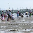 말뚝목장 이미지