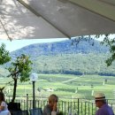 기자레스토랑 이미지