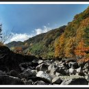 추성마을 이미지