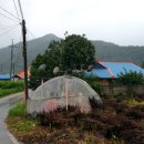 구슬내마을 이미지