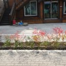 새천년농원 이미지