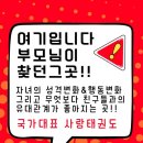 국가대표 태권도 키즈 이미지