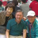 송양초등학교 이미지