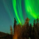 [서부] 웰빙요가 A(2025) | 2025년 캐나다 오로라 여행, 지금 떠나야 할 9가지 이유, 캐나다 옐로나이프 여행, 캐나다 겨울 오로라...