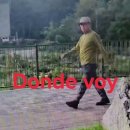 Donde voy 이미지