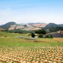 한반도부동산중개사무소 이미지