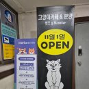 캣츠앤몬스터