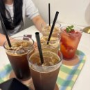 닭갈비천국 | 가평 숯불닭갈비 맛집, 고양이 천국! '성희네집' 다녀온 솔직후기(+베이커리 카페도 이용)