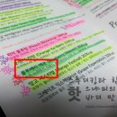 헤븐다이어트