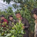 경상북도 농업기술원 이미지