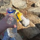 도솔산보루 | [등산] 두부콩과 첫 도솔산