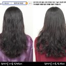 원더파마