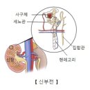 복지용구153 | 「방문요양」 노년기 신부전, 미리 알아야 지키는 신장 건강