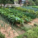 몽비쥬펜션 이미지