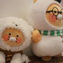 보라메디칼 이미지