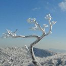 여-백
