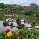 메이즈랜드 이미지