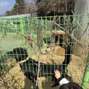 일광보리밥 | [부산 기장] 일광 숨은 보리밥 정식 맛집 "보리뜰" 추천 솔직후기