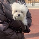 견살롱 이미지