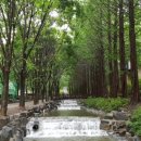 칠갑산자연휴양림 이미지