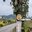 경섭농장 이미지