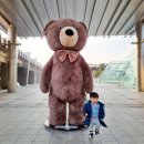 바니베어뮤지엄 이미지