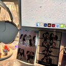 장마 때문에 뇌에 곰팡이 폈음