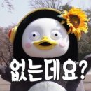 강화인삼 재혁이네 | 강화도 한바퀴 : 본격 자린이 성장판 자극 라이딩 // 평라