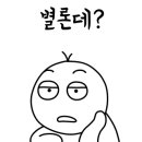 고랑포이야기