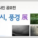 제2회 SLRCLUB 사진공모전 - 이야기,도시,풍경展 이미지