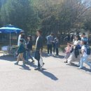대치초등학교 | 초5입니다. 수학경시대회 응시해야 할까요?