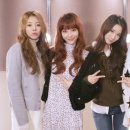 멜로디데이 카카오 검색결과