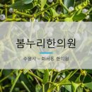 봄누리한의원 이미지