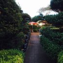 성심농원식당 이미지