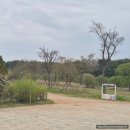 서호노인복지관 대강당 | 서천여행 국립생태원 에코리움 자연 속 힐링 가득했던 하루 후기