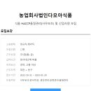 다모아코리아 이미지