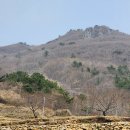 남해-229 이미지