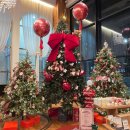 사림동107 | 창원 트리 카페 허브 사림동 크리스마스 분위기 커피숍