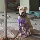 계월농장 이미지