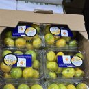 도토리 하우스 이미지