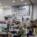 모노플라워 | 용인 동백 꽃집 / 모노플라워, 가성비 최고 꽃다발 후기
