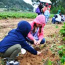 제은농장 이미지