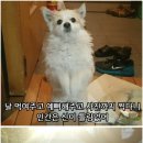 아바타PC방 이미지