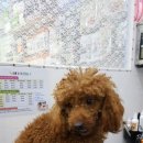 헤어1번가 - 사하구 사하로141번길 55 | 헤어1번가